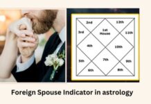 Foreign Spouse Indicator spouse indicator